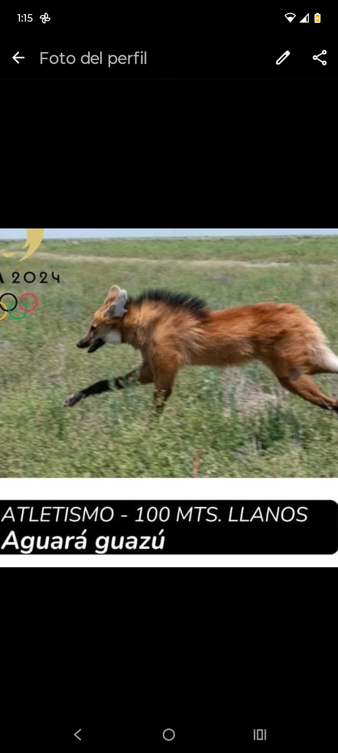 imagen participante carrera