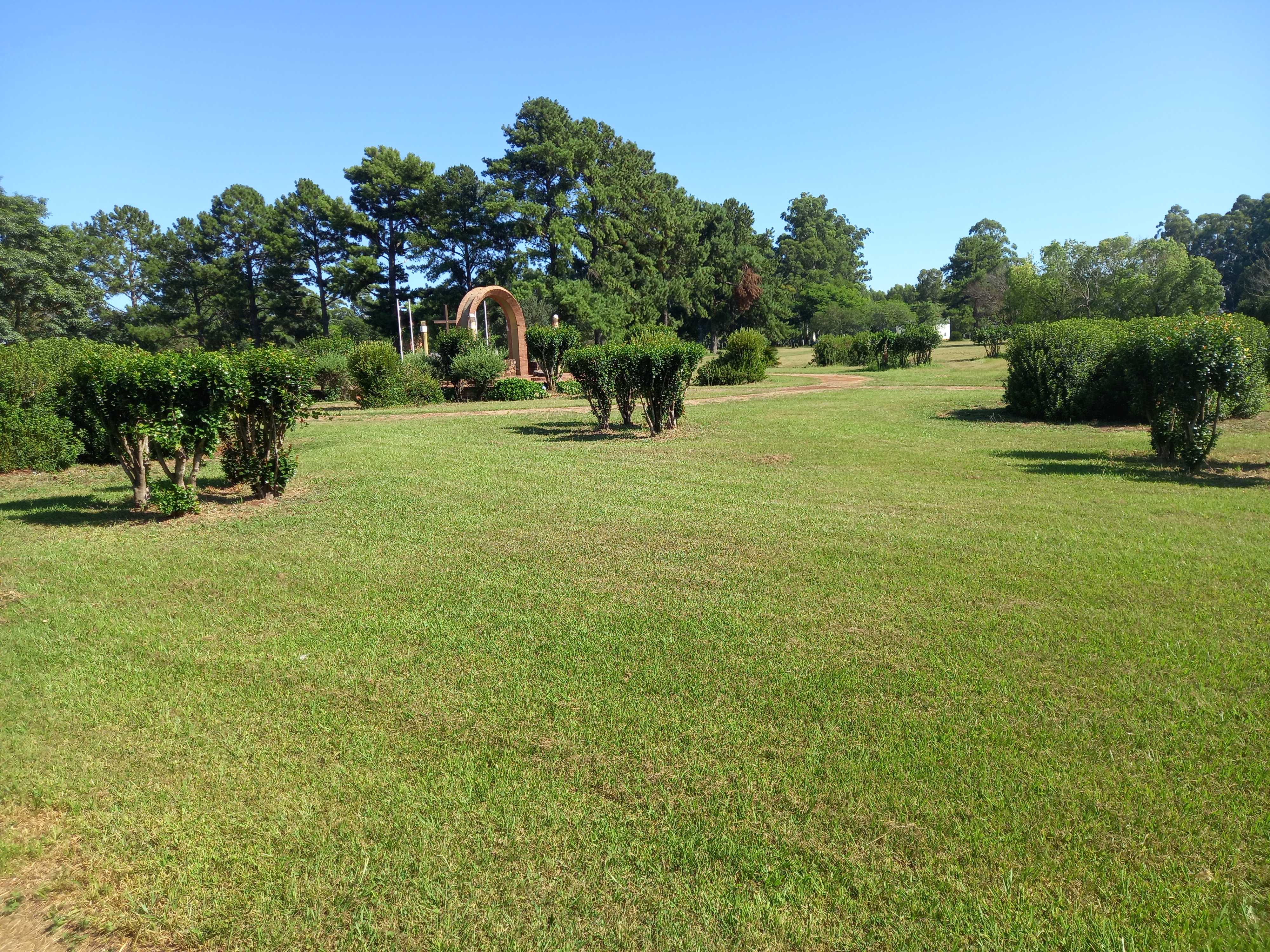 imagen participante carrera