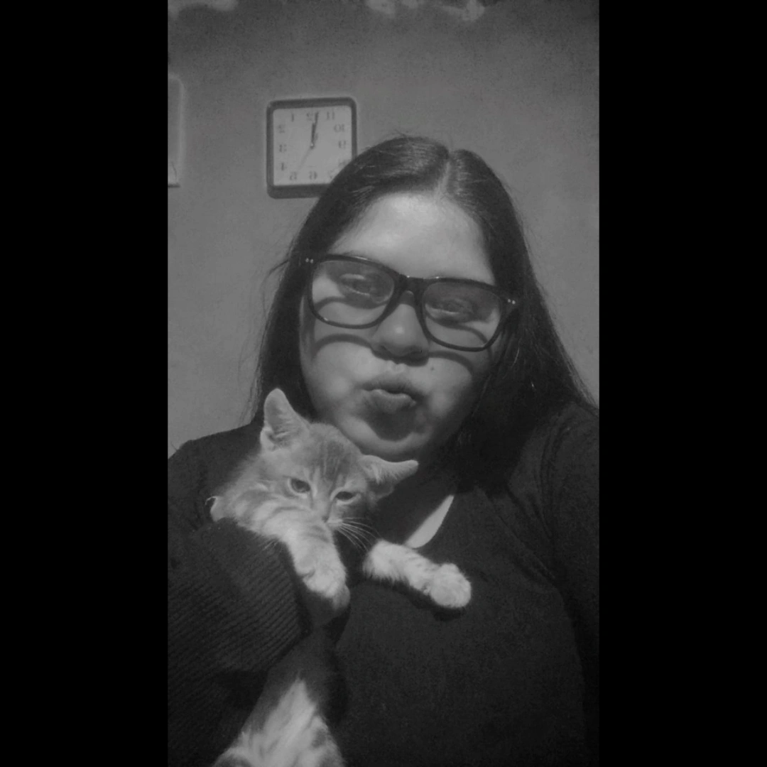 imagen participante carrera