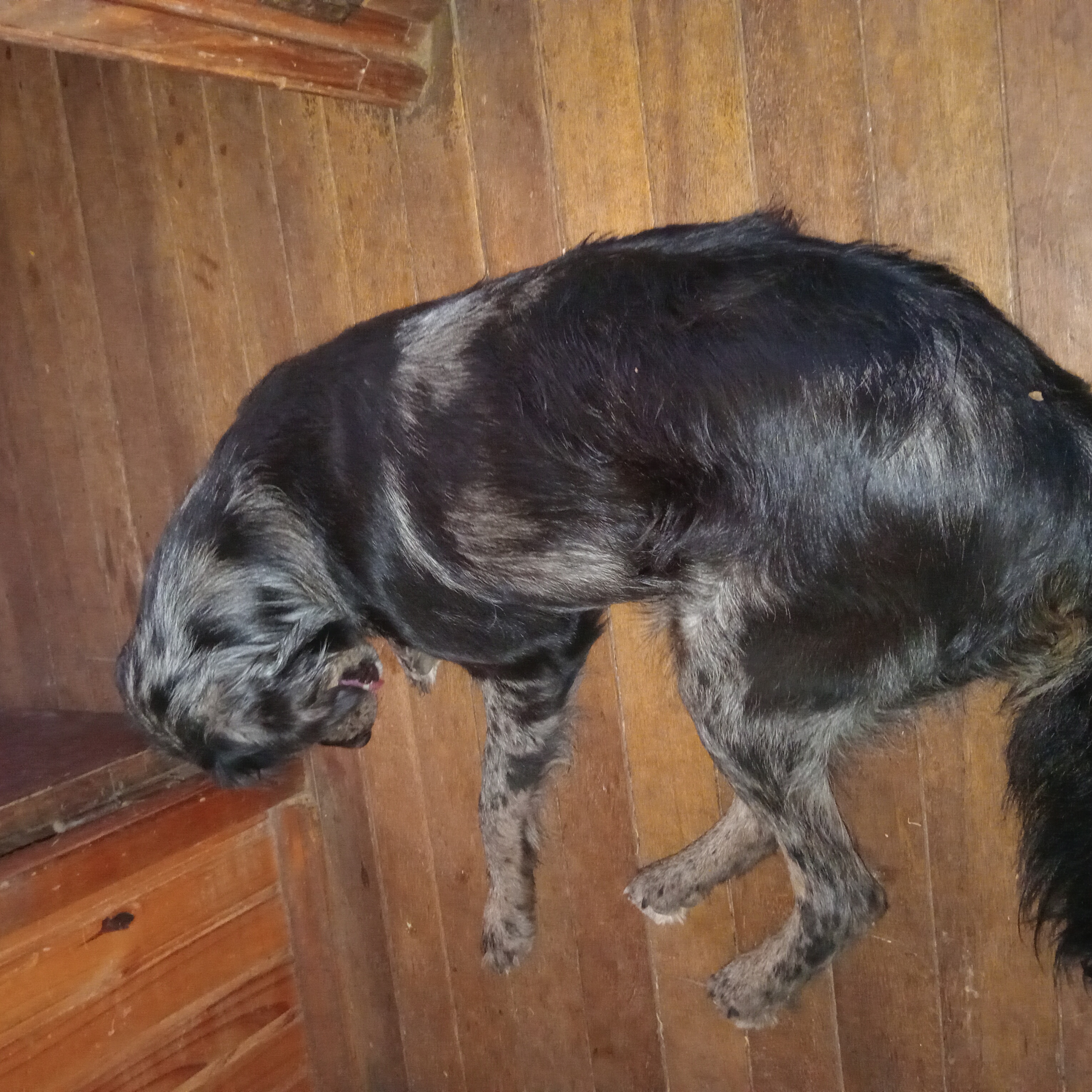 imagen participante carrera