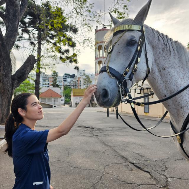 imagen participante carrera