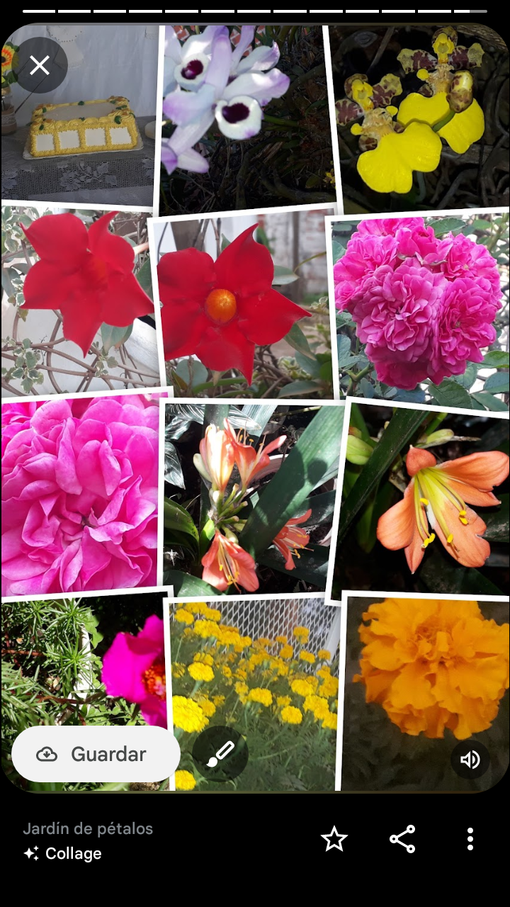 imagen participante carrera